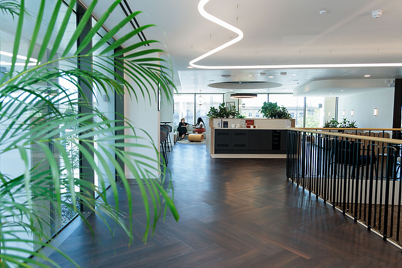 a green plant in a building
