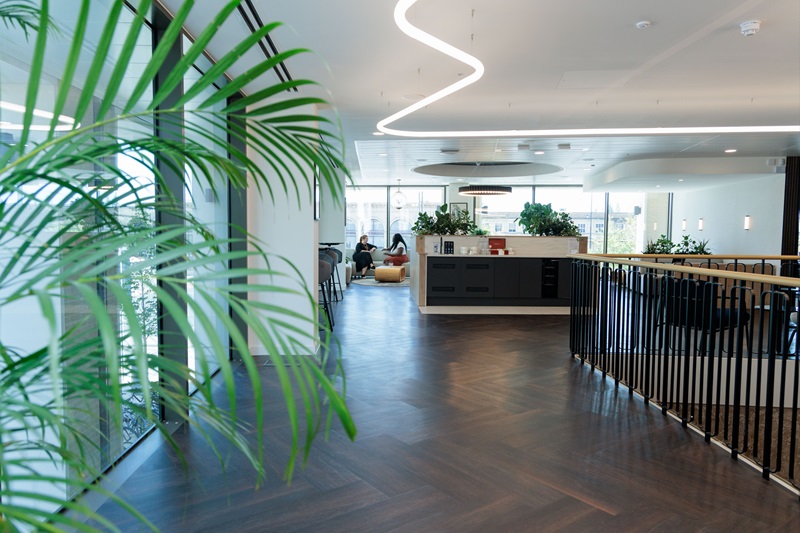 a green plant in a building